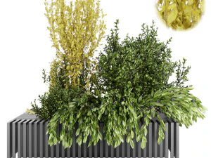 pianta di raccolta vol 23 Modello 3D