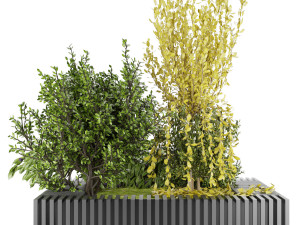 collection plant vol 23 3D 모델