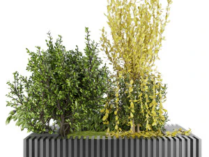 collection plant vol 23 3D Model