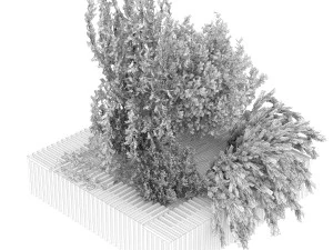 collection plant vol 23 3D Model