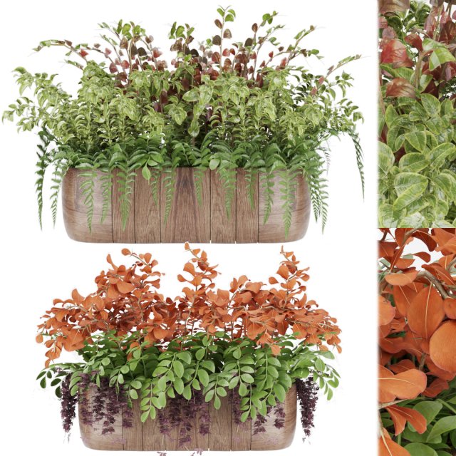 collection plant vol 24 3D Model .c4d .max .obj .3ds .fbx .stl .blend