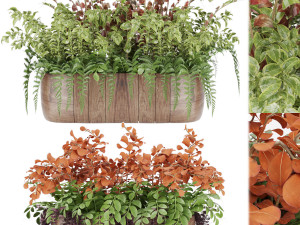 collection plant vol 24 3D Model