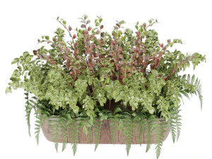 collection plant vol 24 3D Model