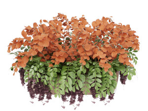 collection plant vol 24 3D Модель