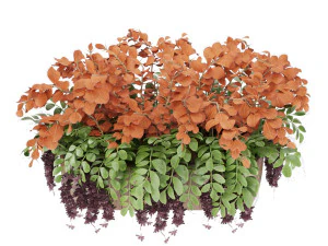 collection plant vol 24 3D Model