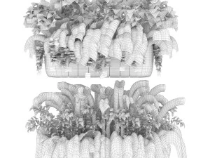 collection plant vol 24 3D Model