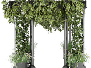 collection plant vol 33 3D Model