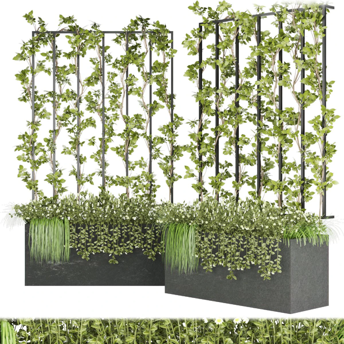 collection plant vol 36 3D Model .c4d .max .obj .3ds .fbx .stl .blend 