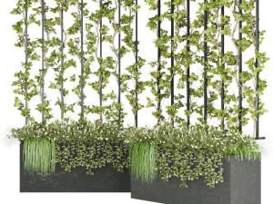 collection plant vol 36 3D Model