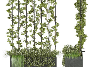 collection plant vol 36 3D Model