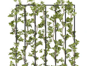 collection plant vol 36 3D Model