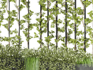 collection plant vol 36 3D Model