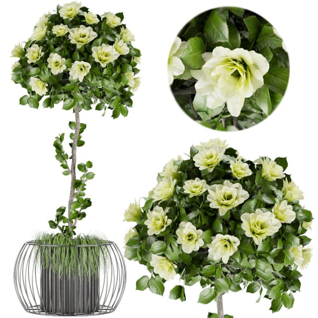 collection plant vol 37 3D-Modell .c4d .max .obj .3ds .fbx .stl .blend 