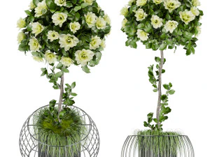 collection plant vol 37 3D Model