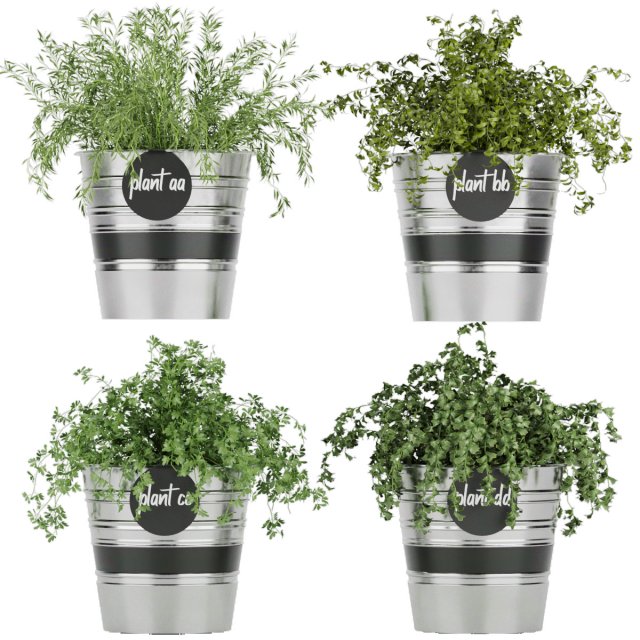collection plant vol 40 Modello 3D .c4d .max .obj .3ds .fbx .stl .blend