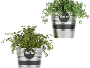 collection plant vol 40 Model 3D