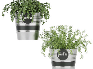 collection plant vol 40 Model 3D