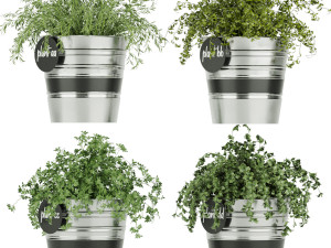 collection plant vol 40 Model 3D