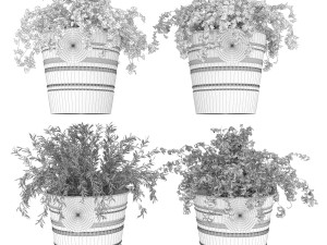 collection plant vol 40 Model 3D