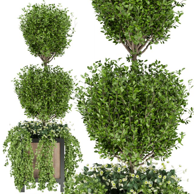 collection plant vol 41 3D Модель .c4d .max .obj .3ds .fbx .stl .blend