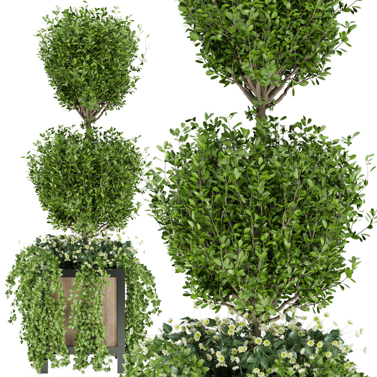 collection plant vol 41 3D Model .c4d .max .obj .3ds .fbx .stl .blend 