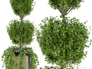 collection plant vol 41 3D 모델