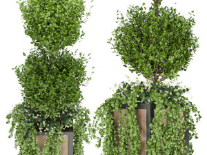 collection plant vol 41 3D Модель