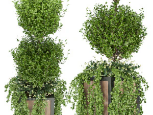 collection plant vol 41 3D Model