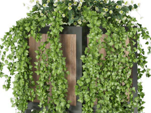 collection plant vol 41 3D Model