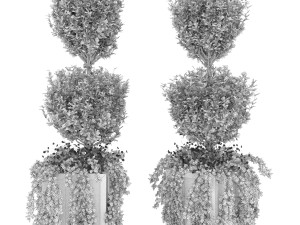 collection plant vol 41 3D Модель
