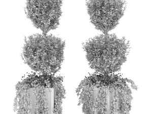 collection plant vol 41 3D Model