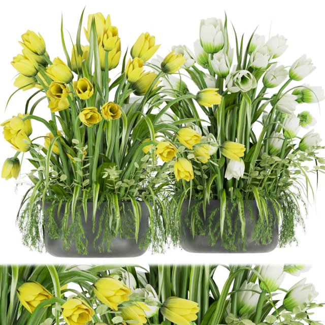 collection plant vol 43 3D Model .c4d .max .obj .3ds .fbx .stl .blend 