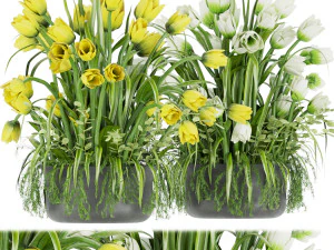 collection plant vol 43 3D Model