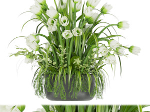 collection plant vol 43 3D Model