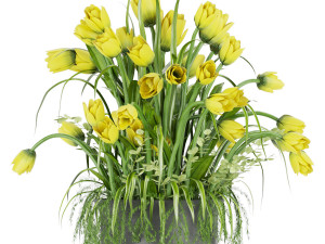 collection plant vol 43 3D Model