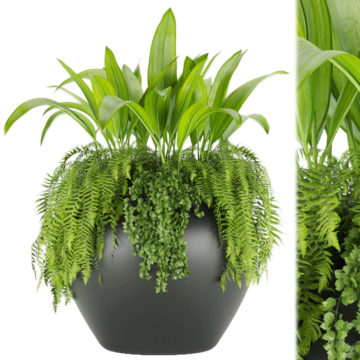 collection plant vol 46 3D Model .c4d .max .obj .3ds .fbx .stl .blend 