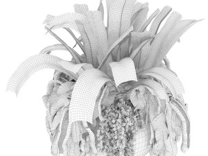 collection plant vol 46 3D Model