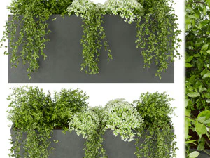 planta de coleta vol 48 Modelo 3D