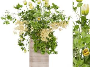 collection plant vol 49 3D Model