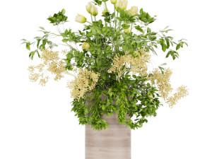 collection plant vol 49 3D Модель