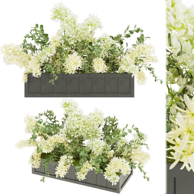 collection plant vol 52 3D 모델 .c4d .max .obj .3ds .fbx .stl .blend 