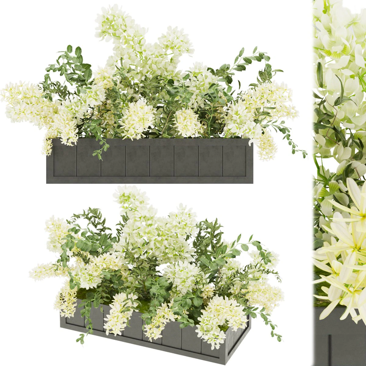collection plant vol 52 3D Model .c4d .max .obj .3ds .fbx .stl .blend 