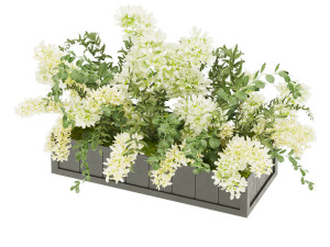collection plant vol 52 3D 모델