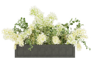 collection plant vol 52 3D 모델