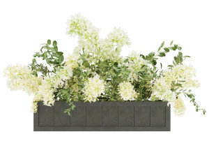 collection plant vol 52 3D Model