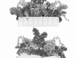 collection plant vol 52 3D Model
