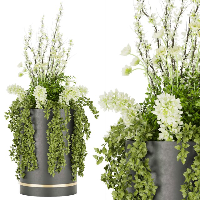 collection plant vol 54 3D 모델 .c4d .max .obj .3ds .fbx .stl .blend 