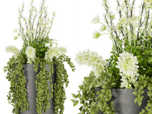 collection plant vol 54 3D Модель