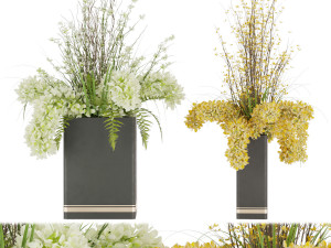 collection plant vol 56 3D 모델