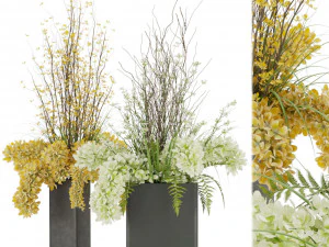 collection plant vol 56 3D Model